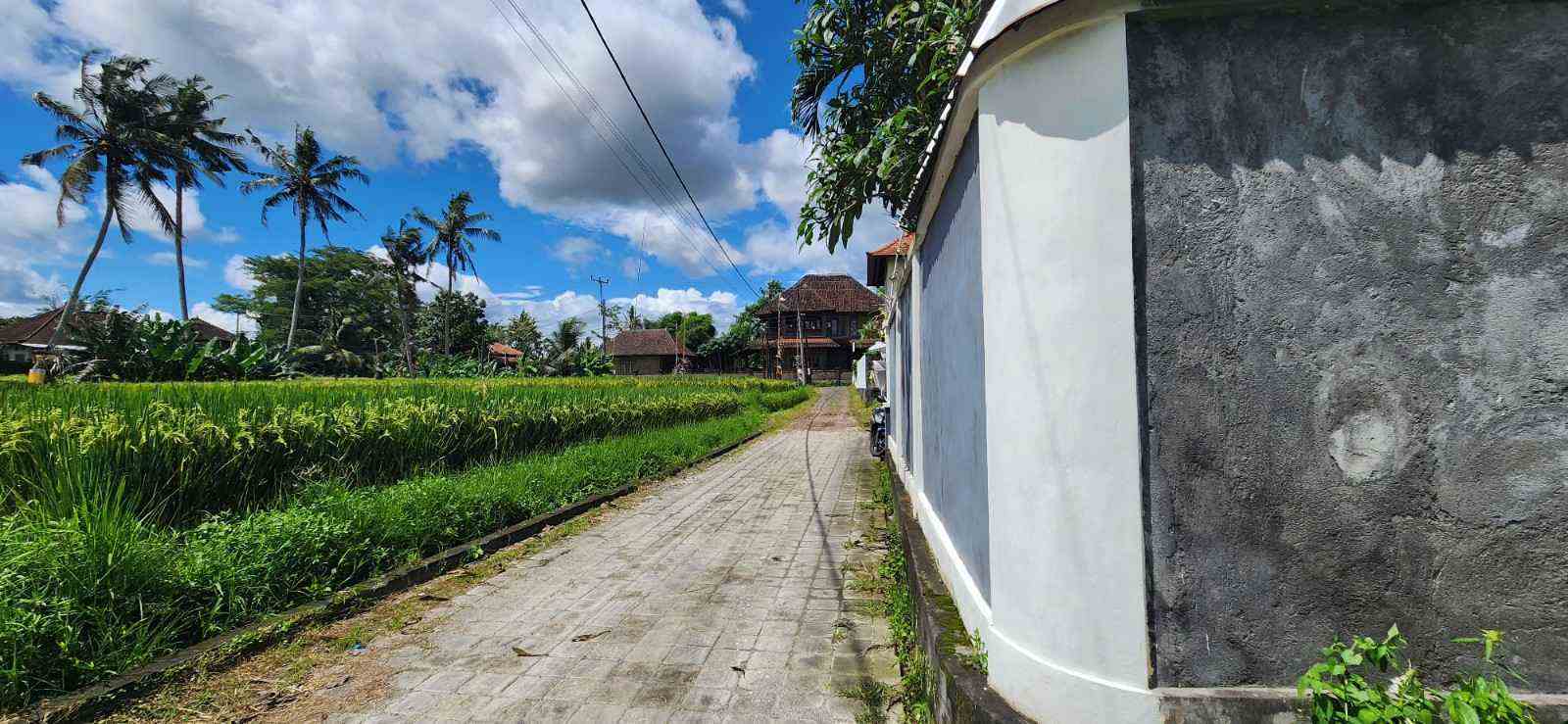 Gianyar,Bali,Indonesia,Land,MLS ID 1917