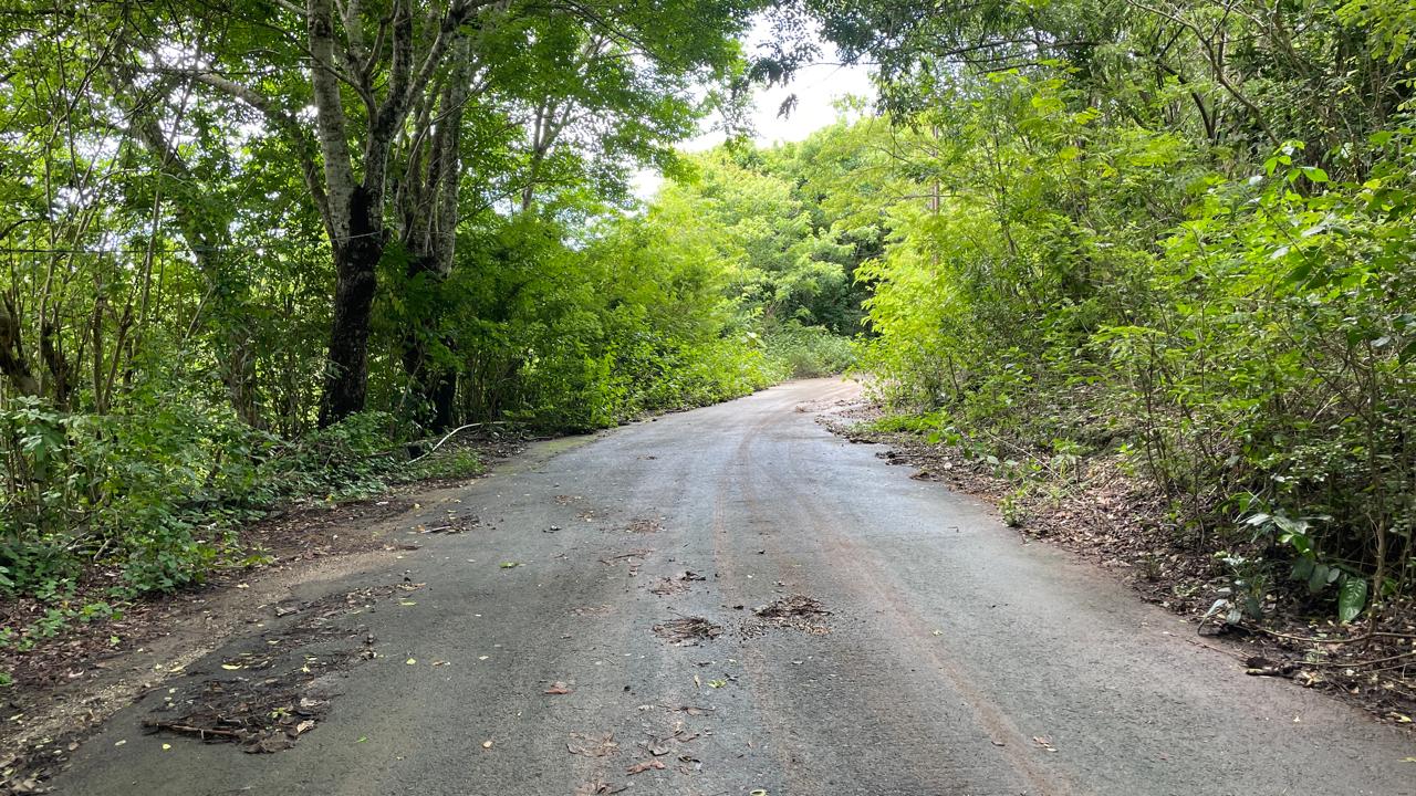 Nusa Dua,Bali,Indonesia,Land,MLS ID 1919