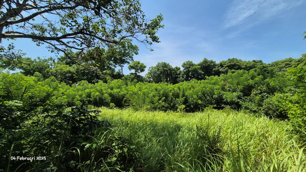 Nusa Dua,Bali,Indonesia,Land,MLS ID 1957