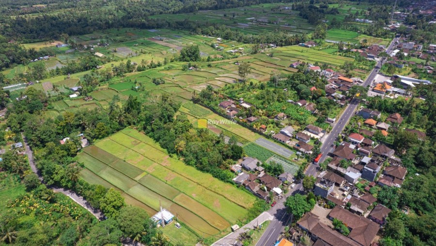 Tabanan,Bali,Indonesia,Land,MLS ID 1969