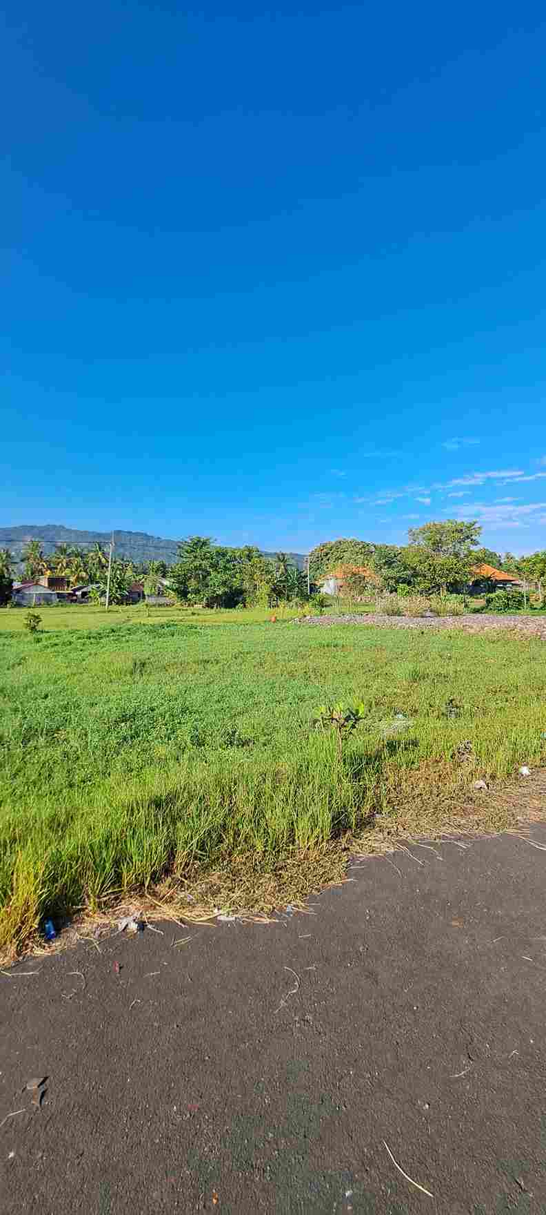 Buleleng,Bali,Indonesia,Land,MLS ID 2008