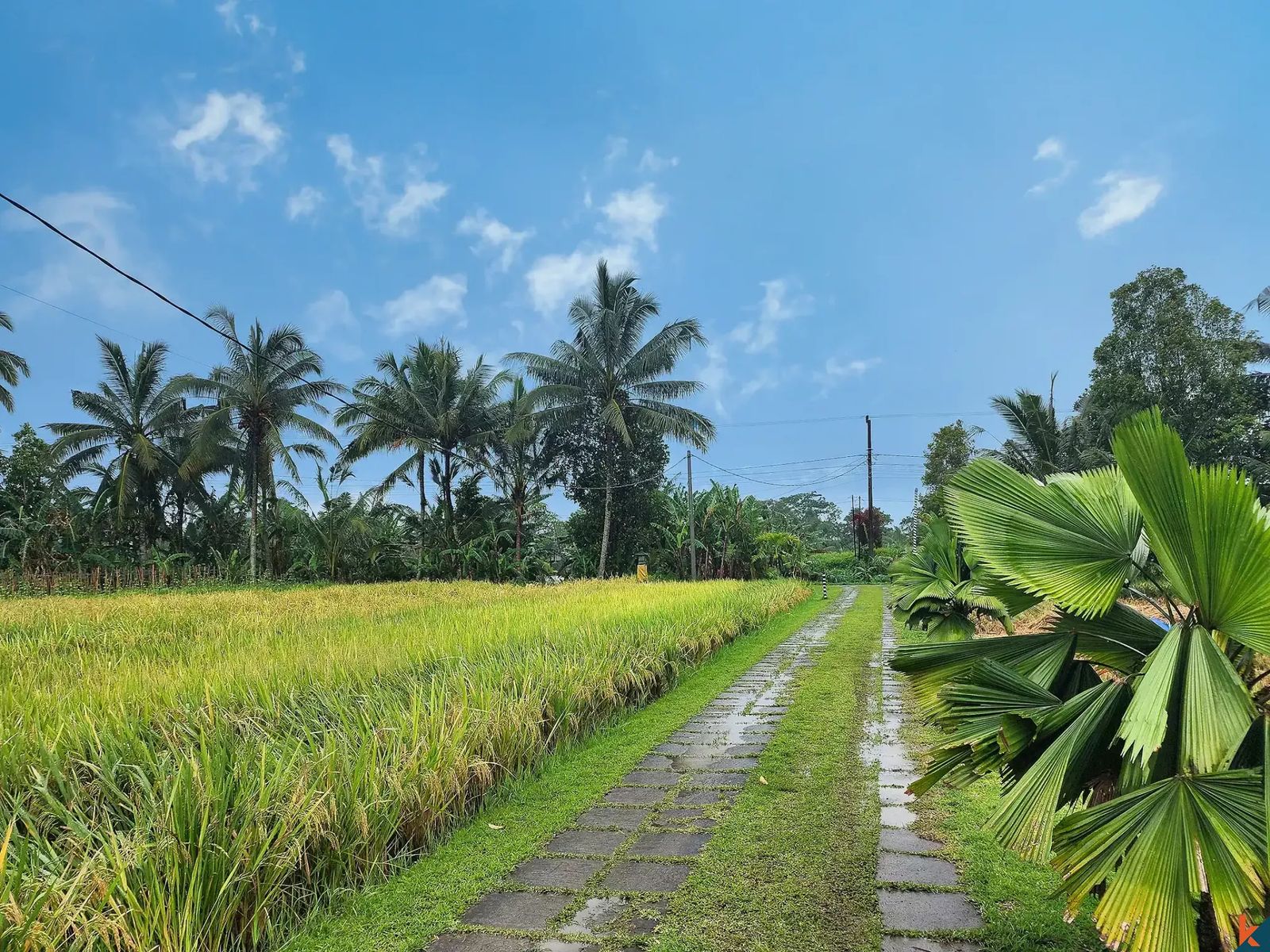 Tabanan,Bali,Indonesia,3 Bedrooms,3 Bathrooms,Villa,MLS ID 2032