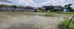 Gianyar,Bali,Indonesia,Land,MLS ID 2045