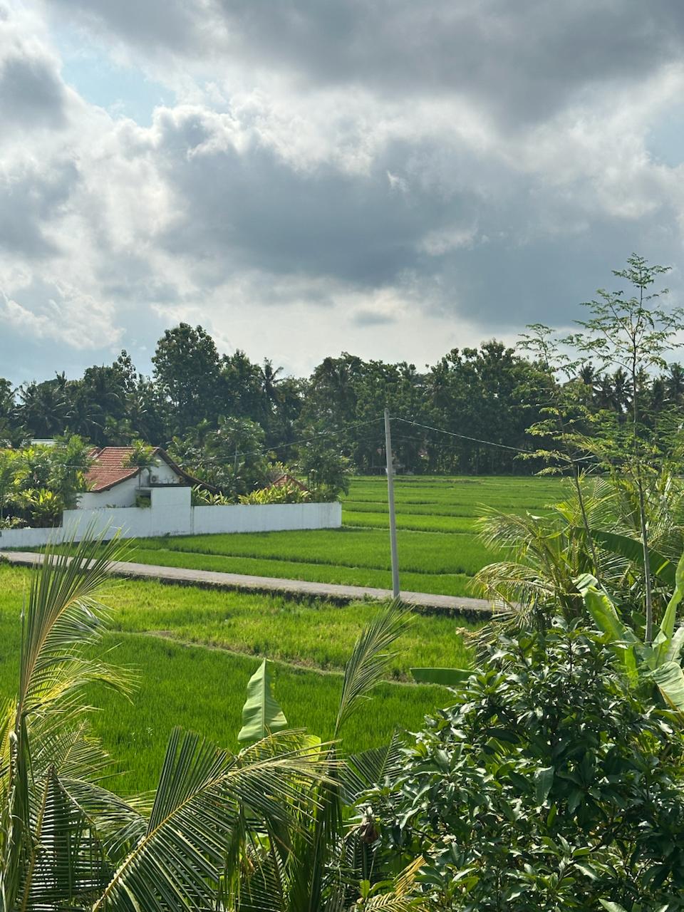 Ubud,Bali,Indonesia,3 Bedrooms,4 Bathrooms,Villa,MLS ID 2049