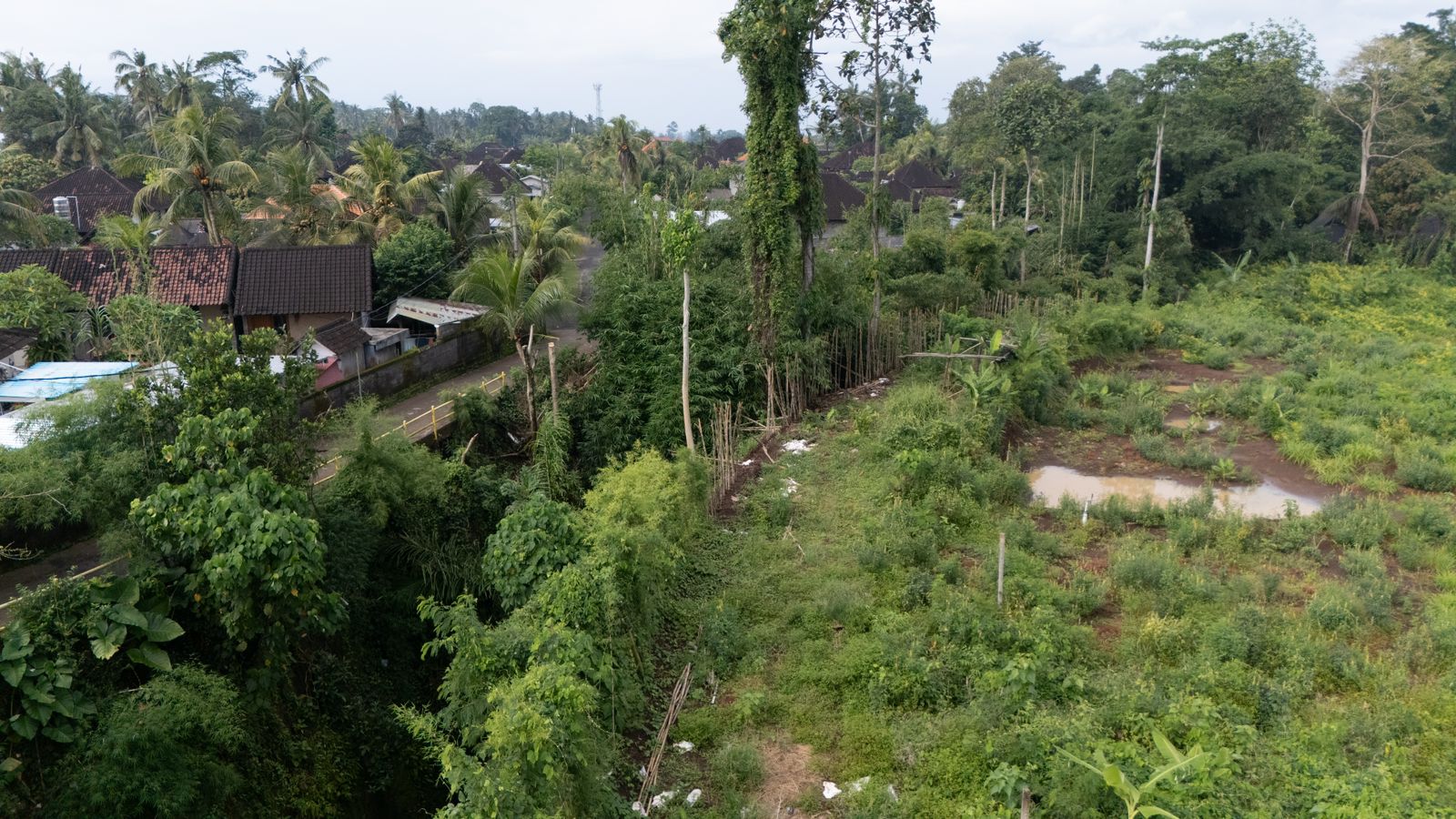 Tabanan,Bali,Indonesia,Land,MLS ID 2074