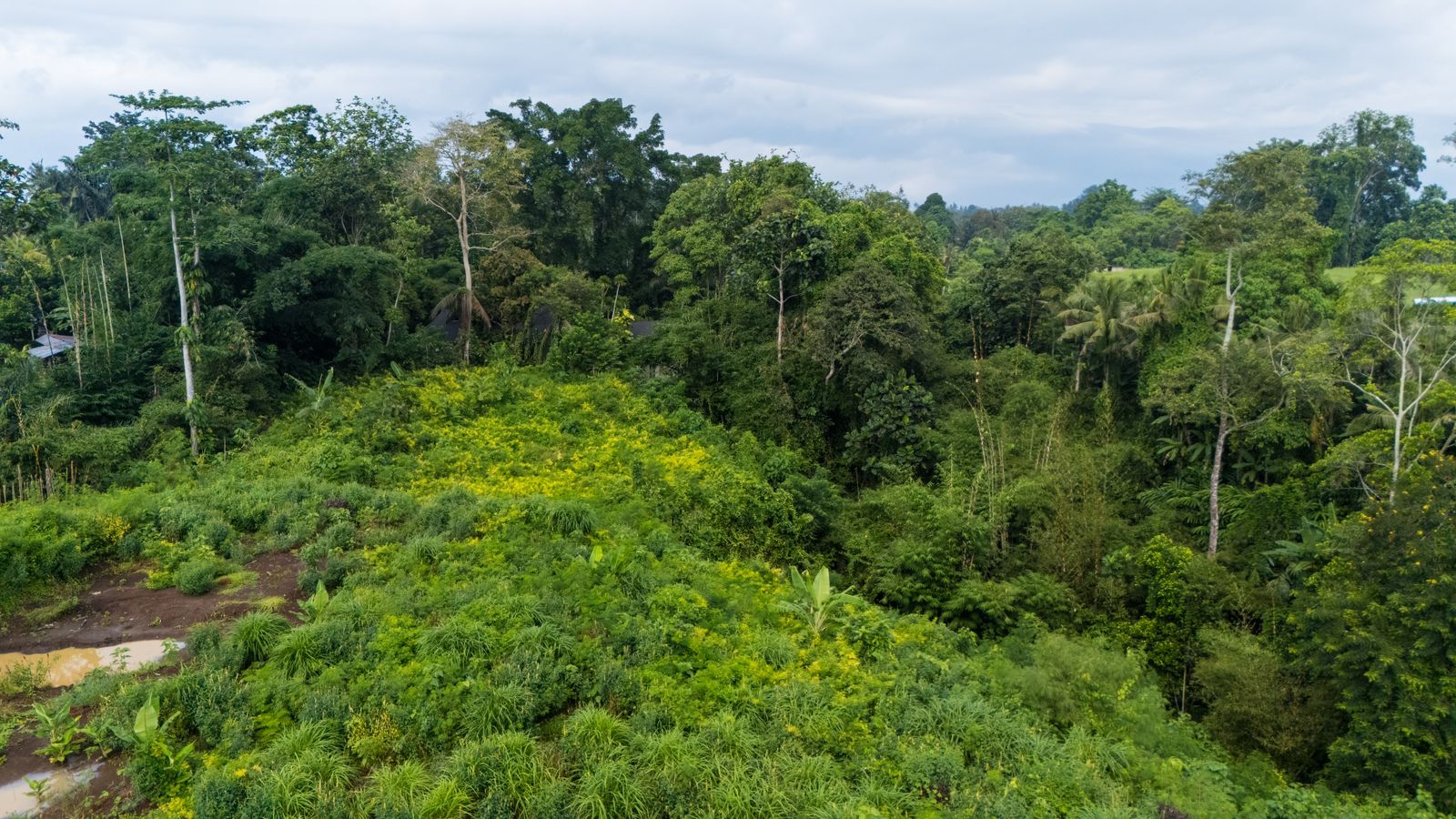 Tabanan,Bali,Indonesia,Land,MLS ID 2074