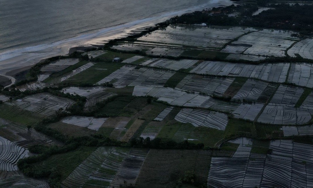 Tabanan,Bali,Indonesia,Land,MLS ID 2091