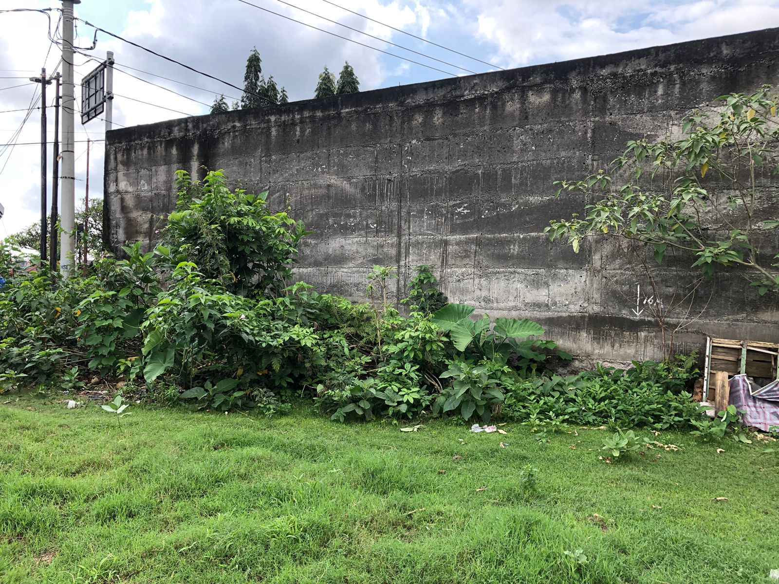 Denpasar,Bali,Indonesia,Land,MLS ID 2095