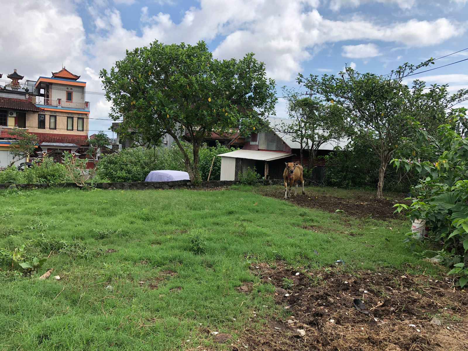 Denpasar,Bali,Indonesia,Land,MLS ID 2095