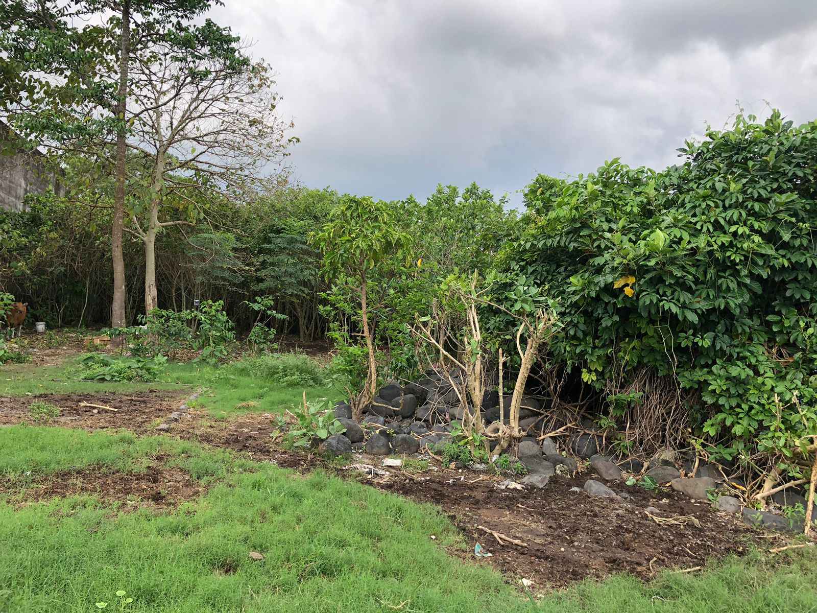Denpasar,Bali,Indonesia,Land,MLS ID 2095