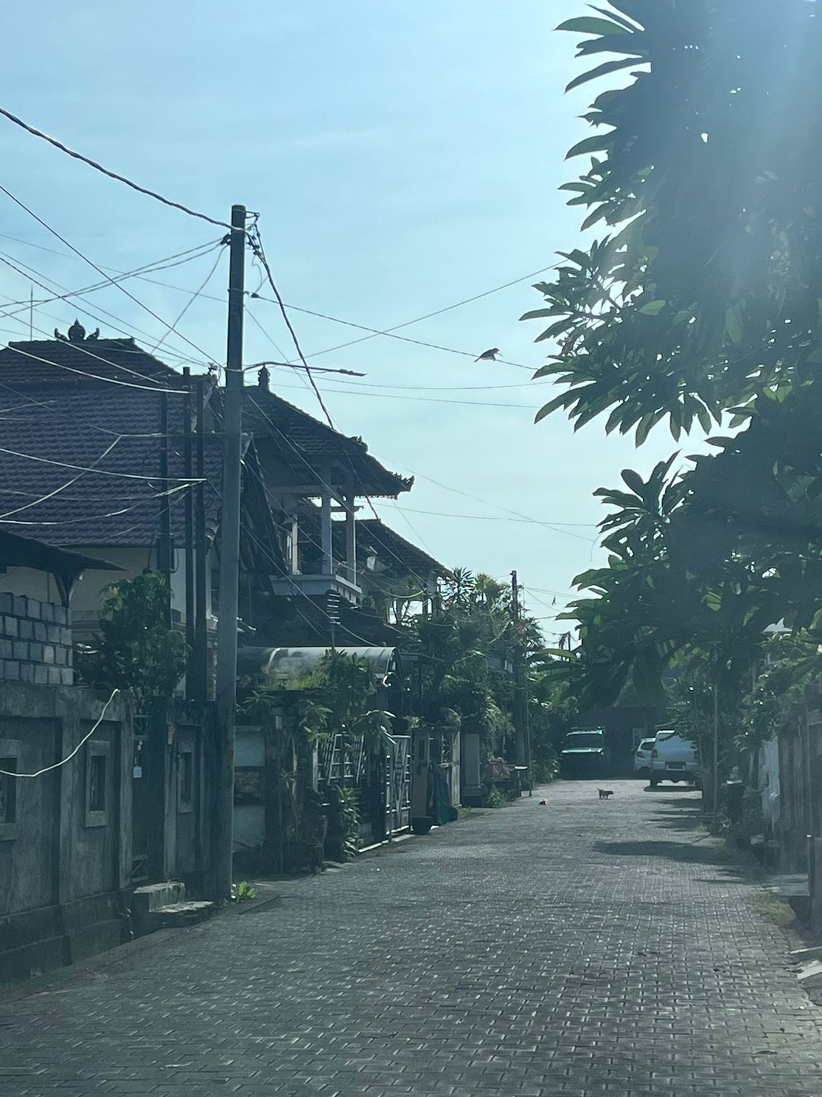 Gianyar,Bali,Indonesia,4 Bedrooms,3 Bathrooms,Residential,MLS ID 2100