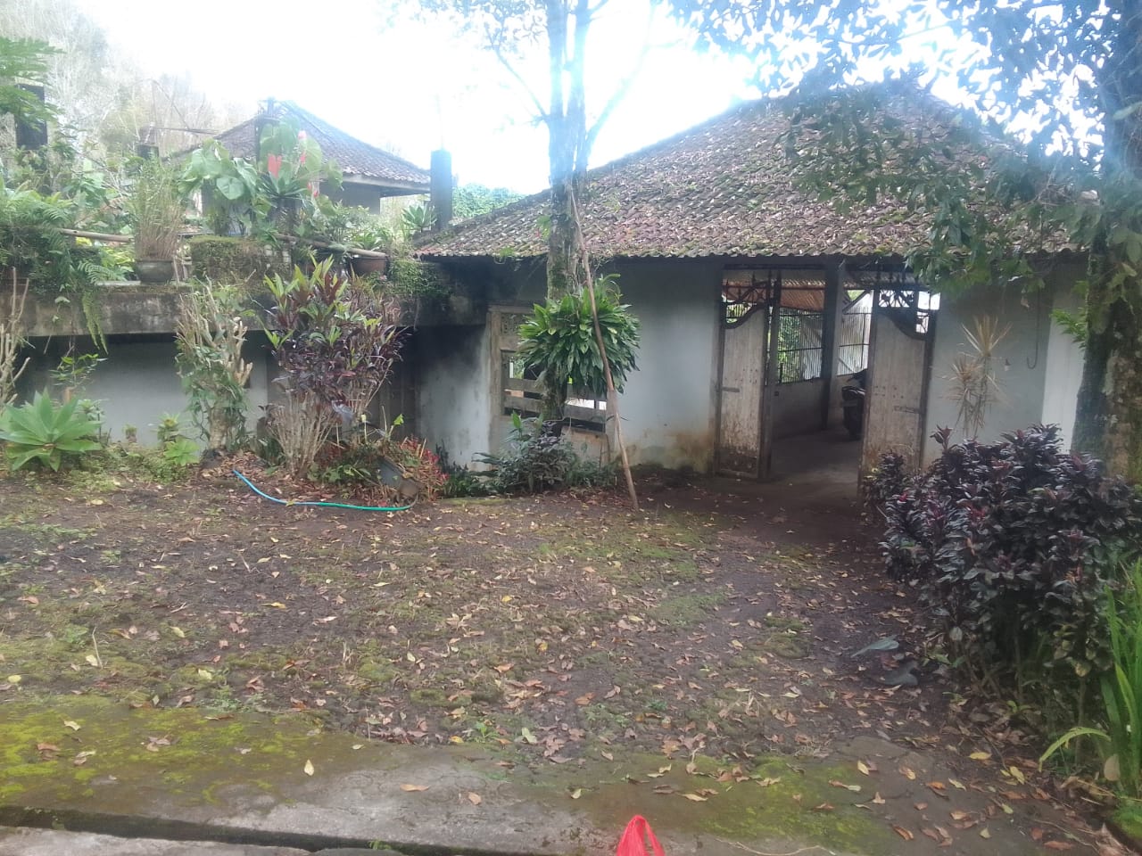 Buleleng,Bali,Indonesia,Land,MLS ID 2107