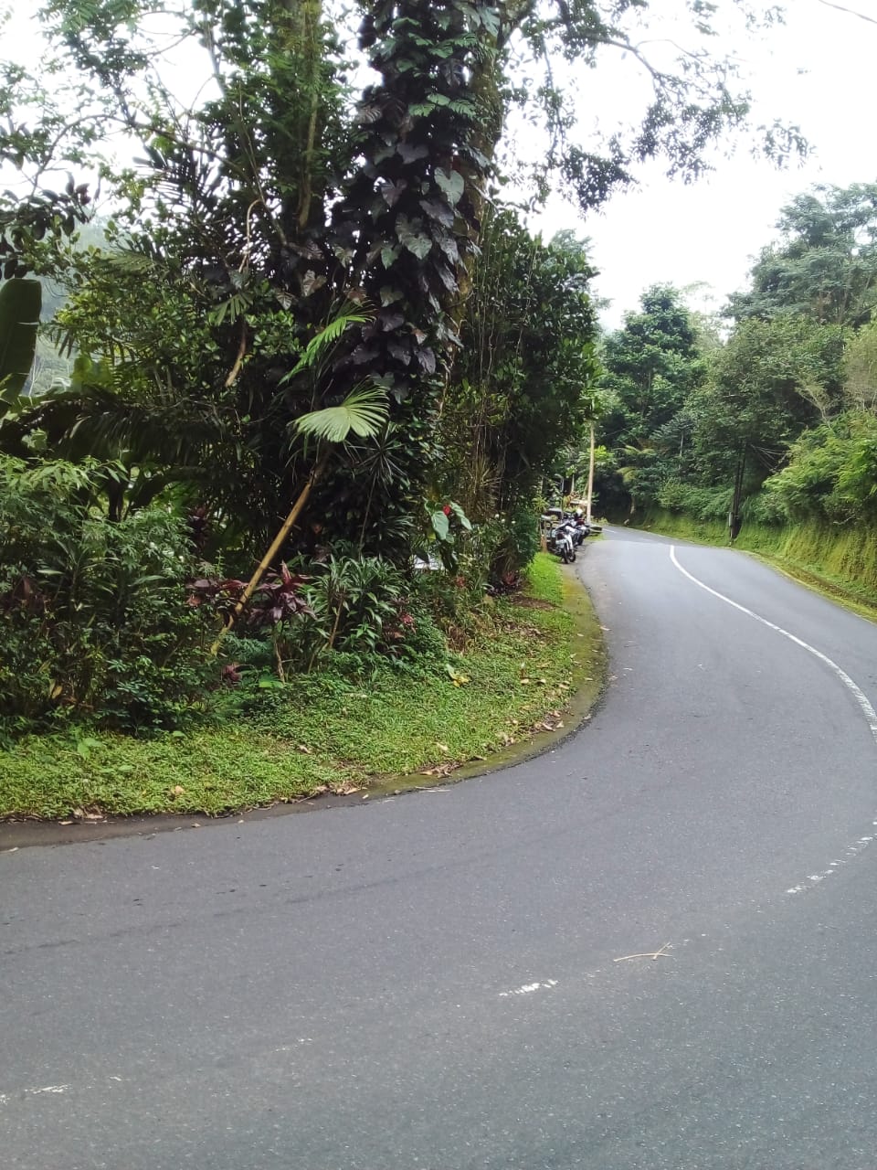 Buleleng,Bali,Indonesia,Land,MLS ID 2107