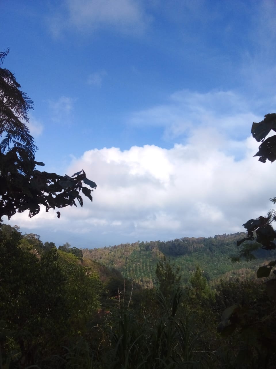 Buleleng,Bali,Indonesia,Land,MLS ID 2107