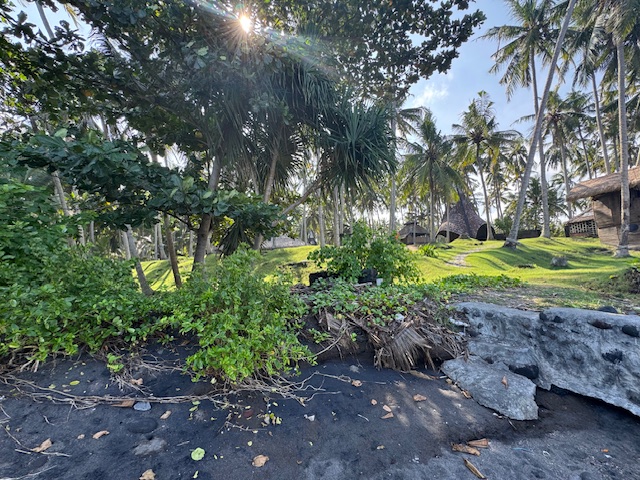 Karangasem,Bali,Indonesia,Land,MLS ID 2108