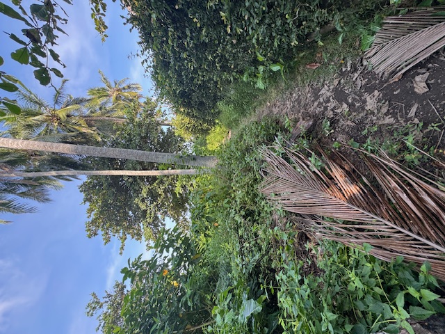 Karangasem,Bali,Indonesia,Land,MLS ID 2108
