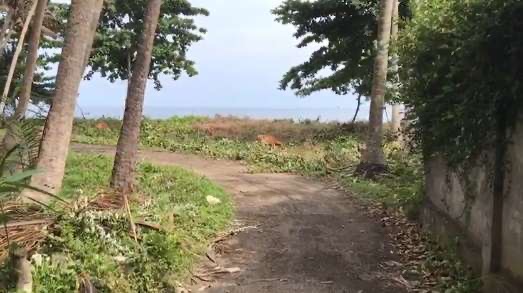 Karangasem,Bali,Indonesia,Land,MLS ID 2108