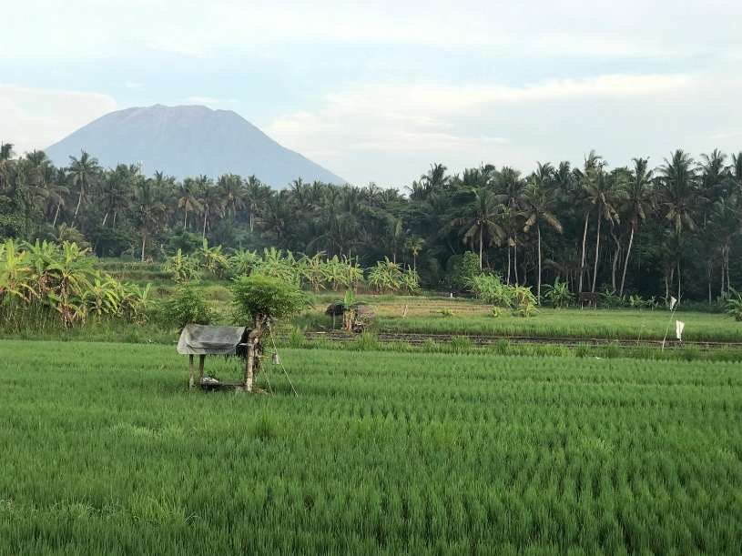Karangasem,Bali,Indonesia,Land,MLS ID 2108