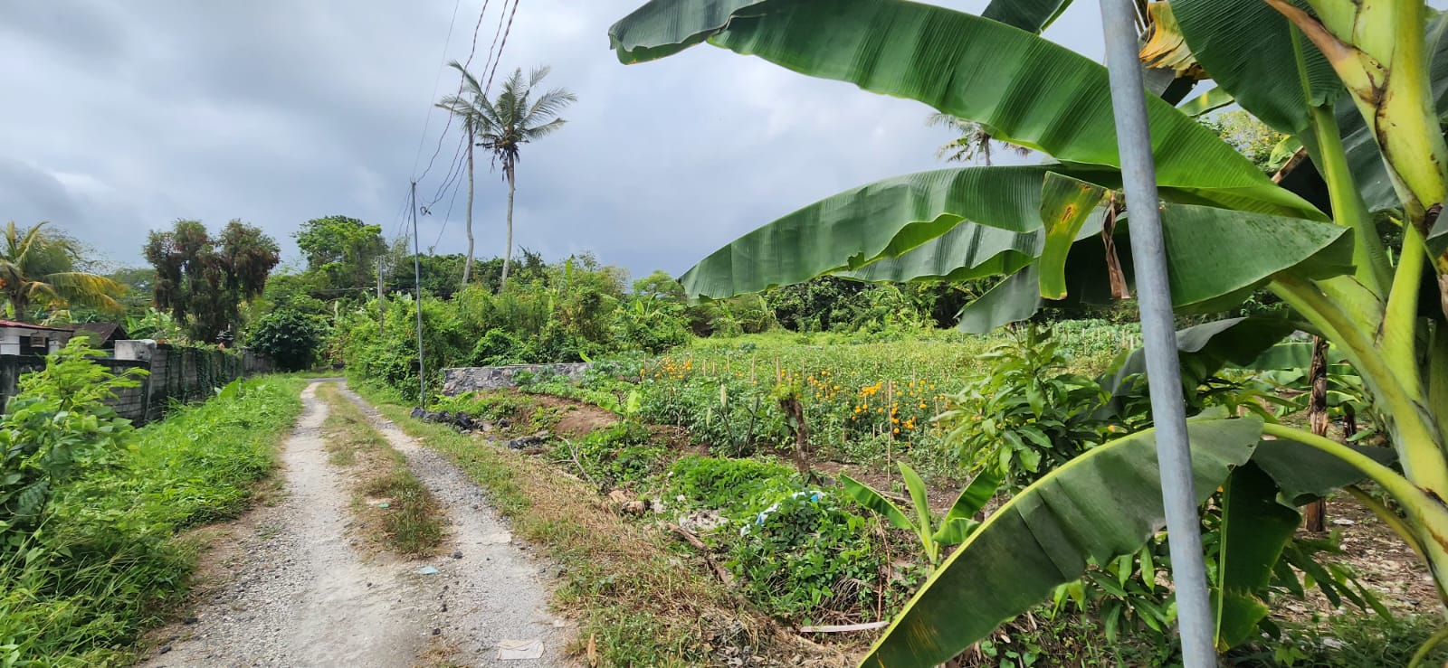 Tabanan,Bali,Indonesia,Land,MLS ID 2126