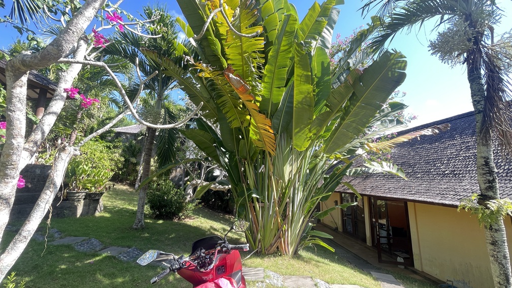 Jimbaran,Bali,Indonesia,2 Bedrooms,2 Bathrooms,Villa,MLS ID 2139