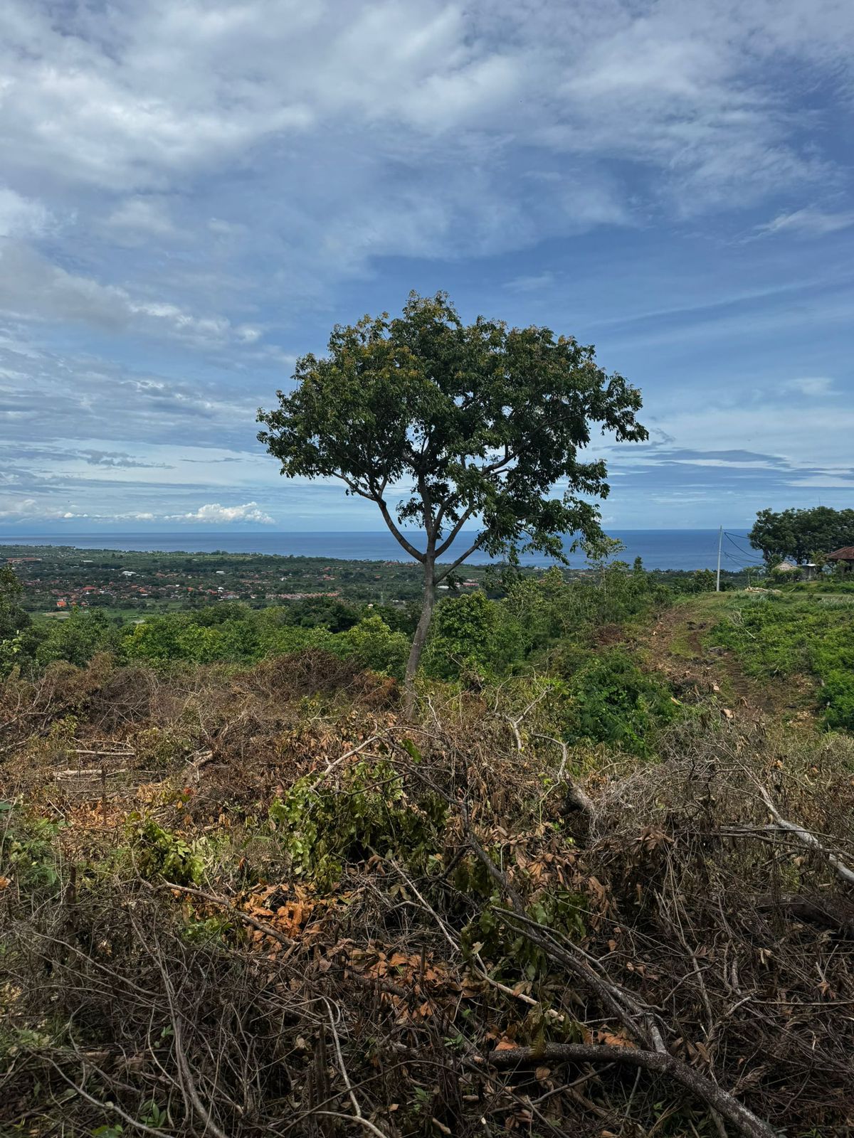 Buleleng,Bali,Indonesia,Land,MLS ID 2169