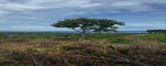 Buleleng,Bali,Indonesia,Land,MLS ID 2169