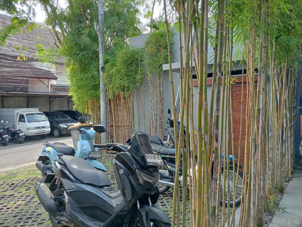 Seminyak,Bali,Indonesia,5 Bedrooms,5 Bathrooms,Villa,MLS ID 2180