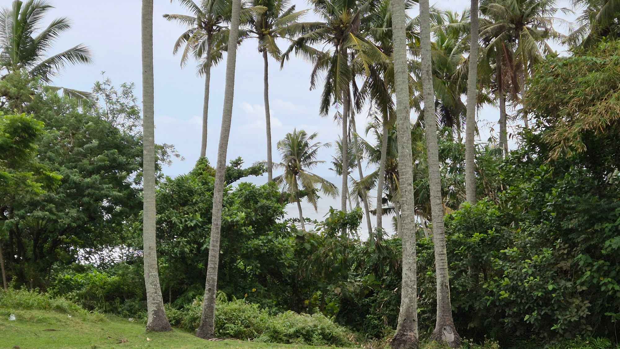 Tabanan,Bali,Indonesia,Land,MLS ID 2203
