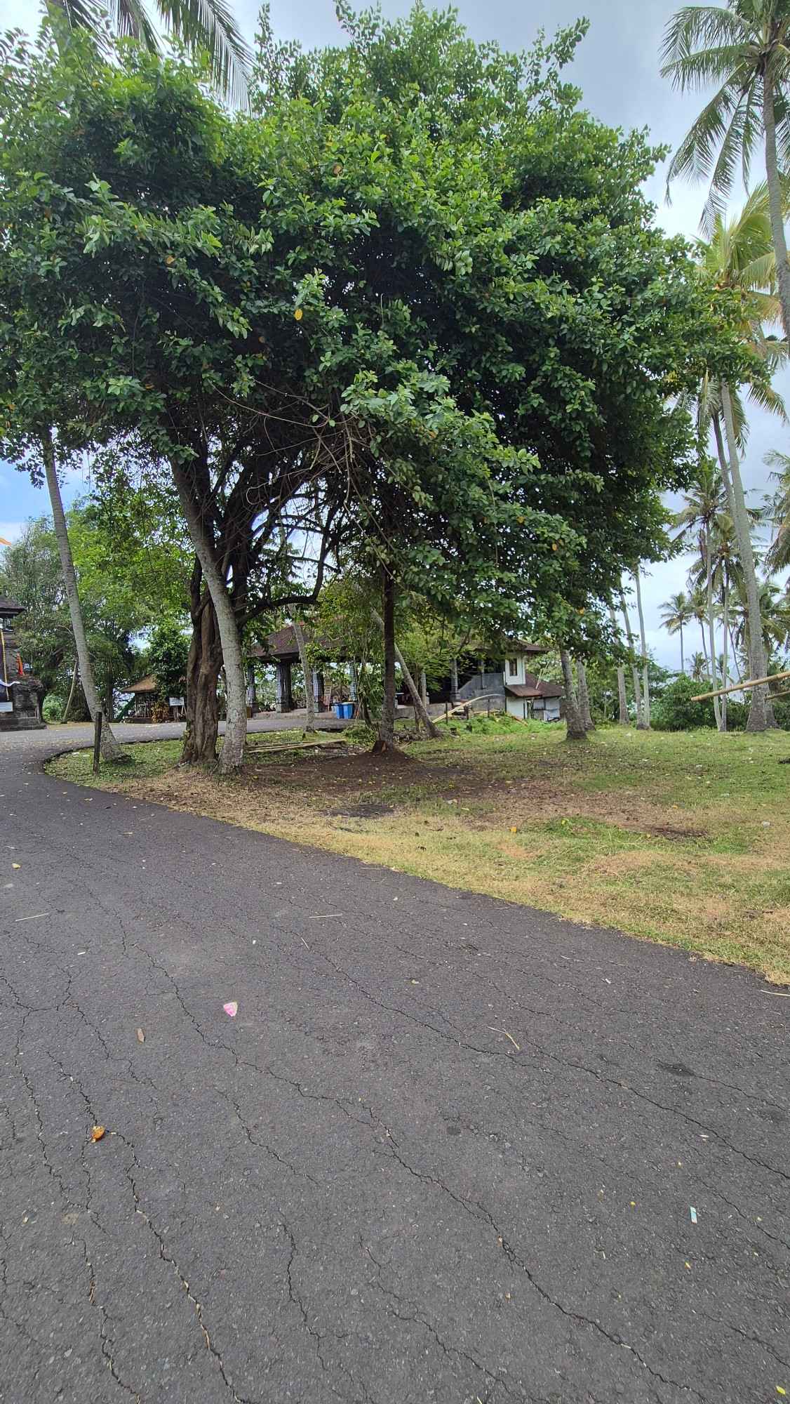 Tabanan,Bali,Indonesia,Land,MLS ID 2203