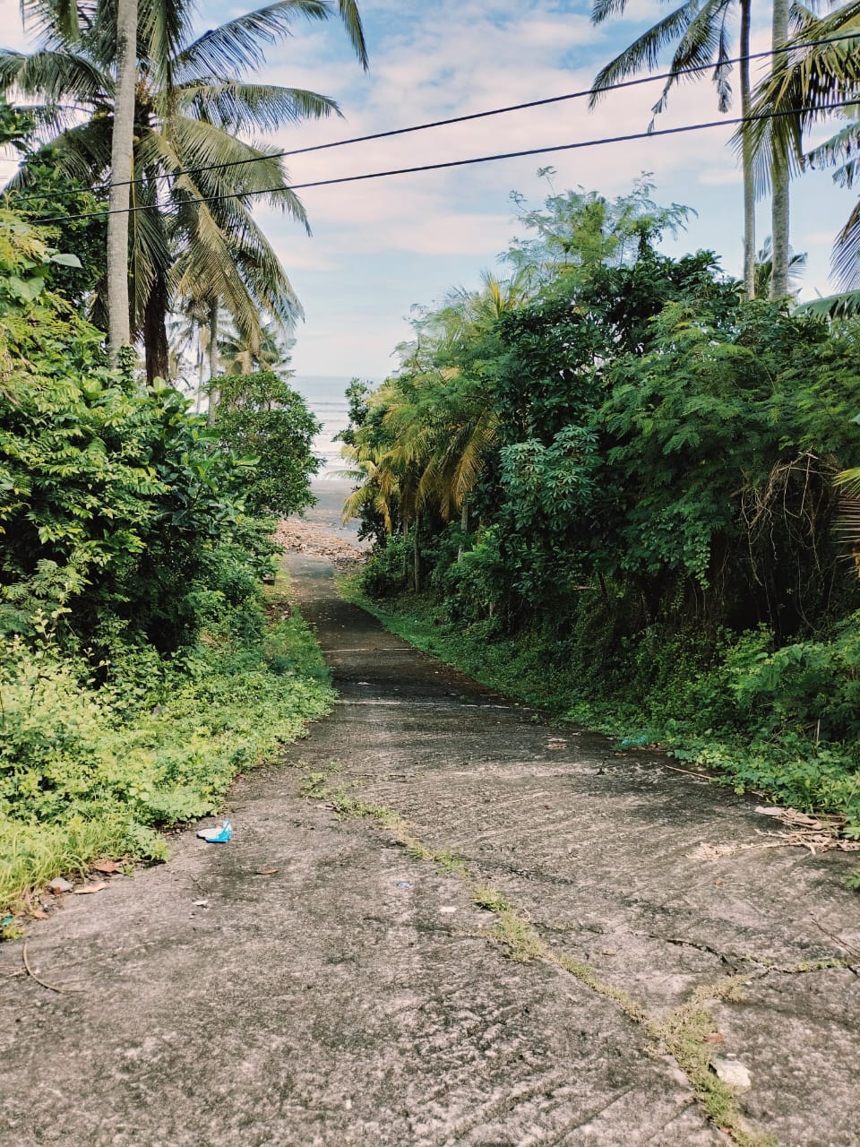 Tabanan,Bali,Indonesia,Land,MLS ID 2217