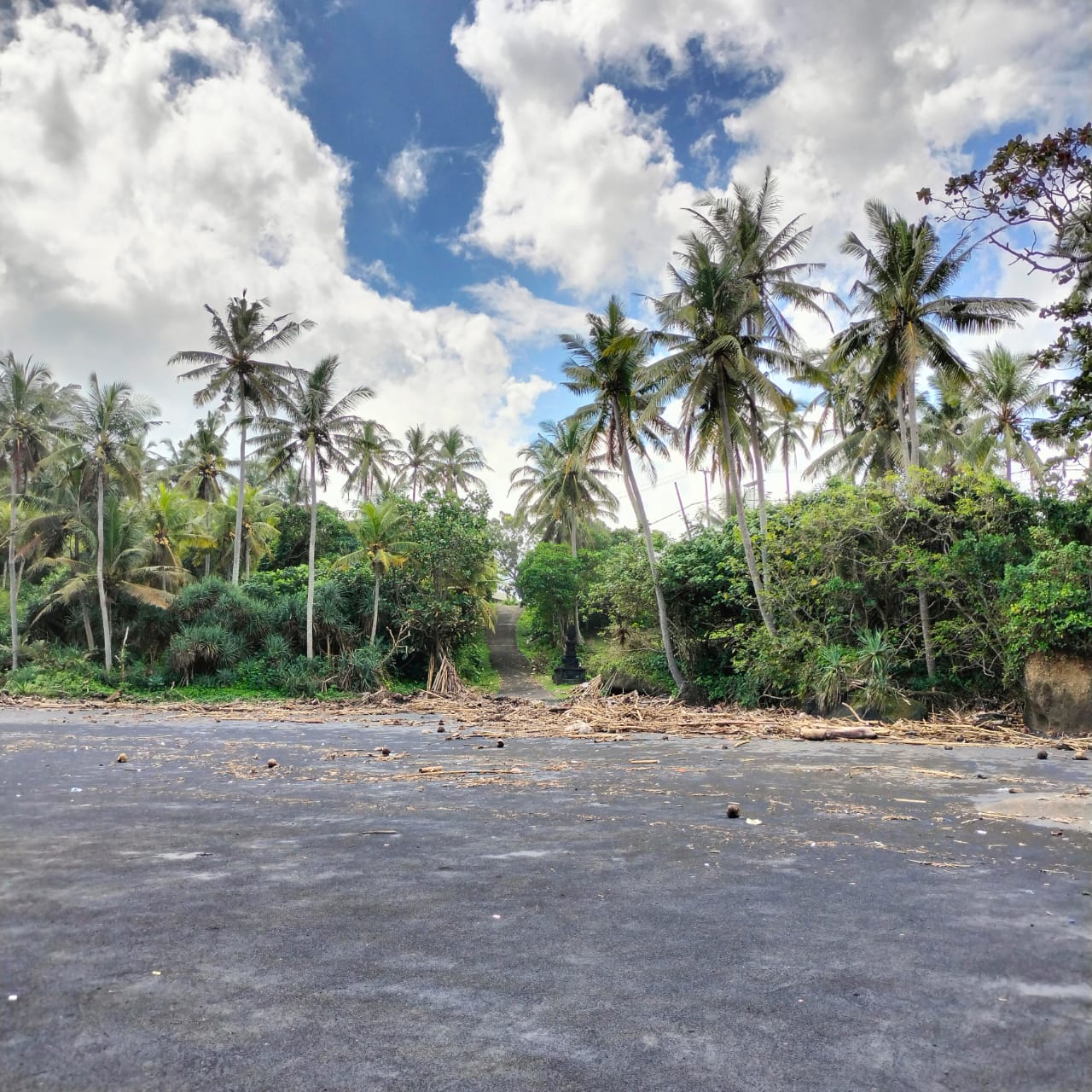 Tabanan,Bali,Indonesia,Land,MLS ID 2217