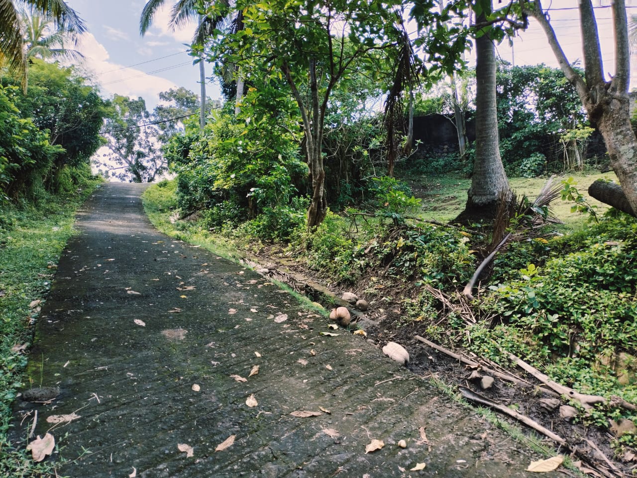 Tabanan,Bali,Indonesia,Land,MLS ID 2217