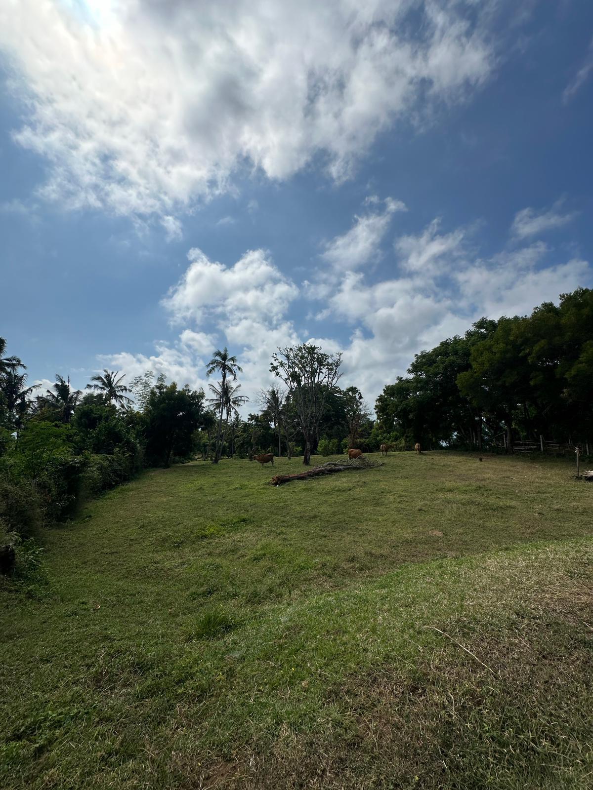 Karangasem,Bali,Indonesia,Land,MLS ID 2221