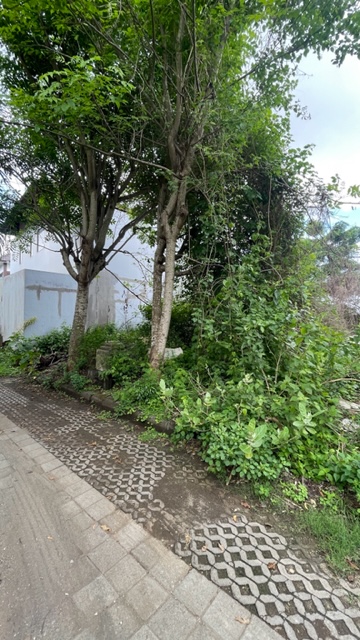 Jimbaran,Bali,Indonesia,Land,MLS ID 2229