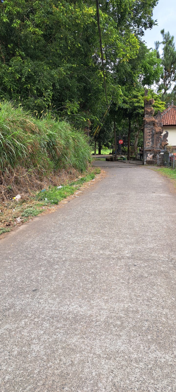 Buleleng,Bali,Indonesia,Land,MLS ID 2245