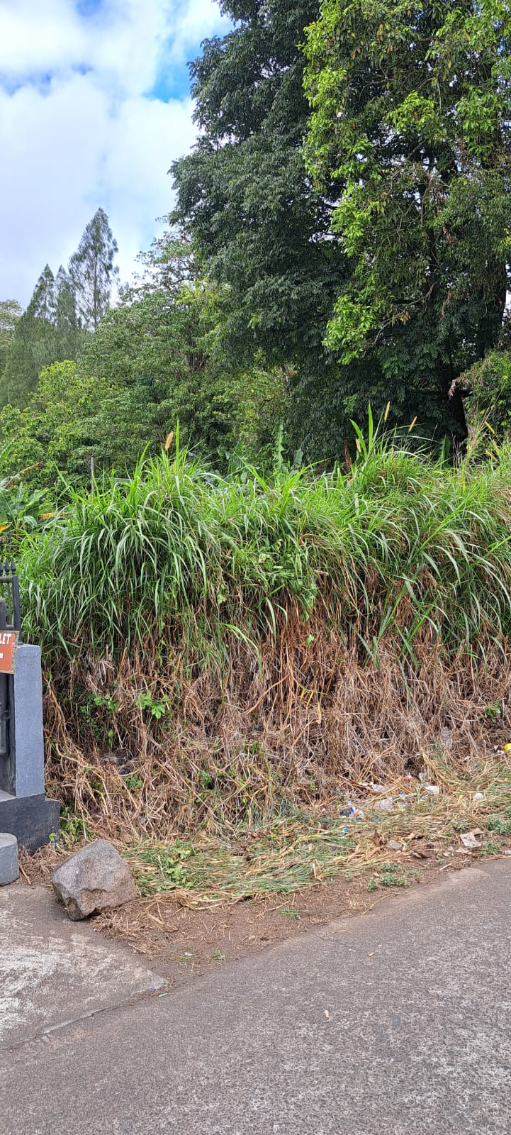 Buleleng,Bali,Indonesia,Land,MLS ID 2245
