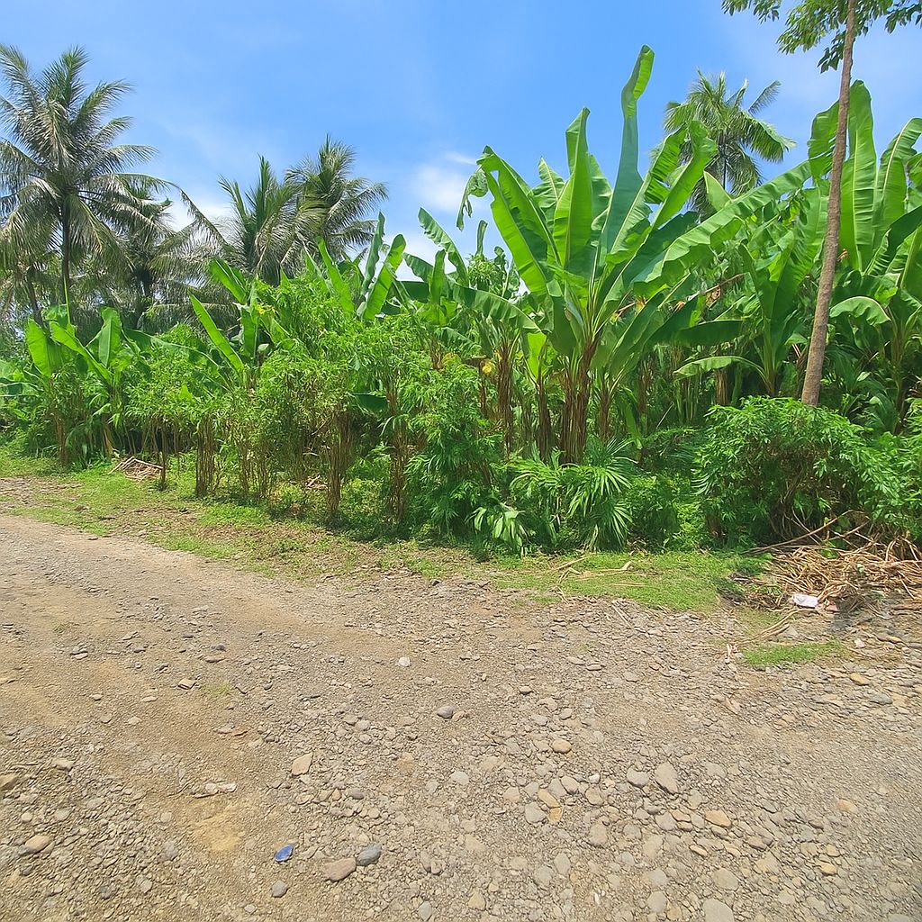 Jembrana,Bali,Indonesia,Land,MLS ID 2246
