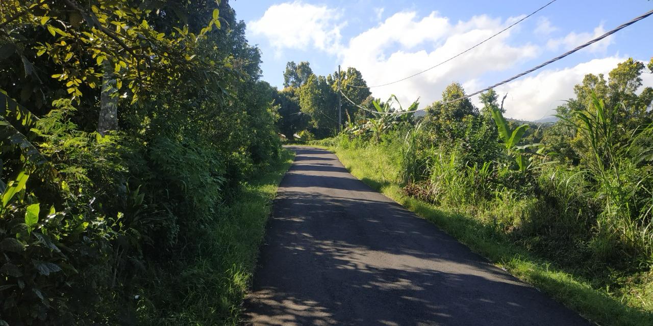Buleleng,Bali,Indonesia,Land,MLS ID 2247