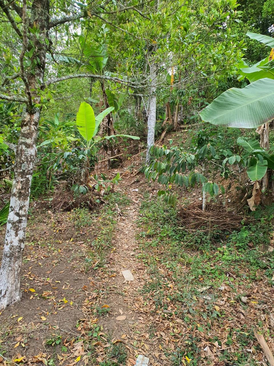 Buleleng,Bali,Indonesia,Land,MLS ID 2247