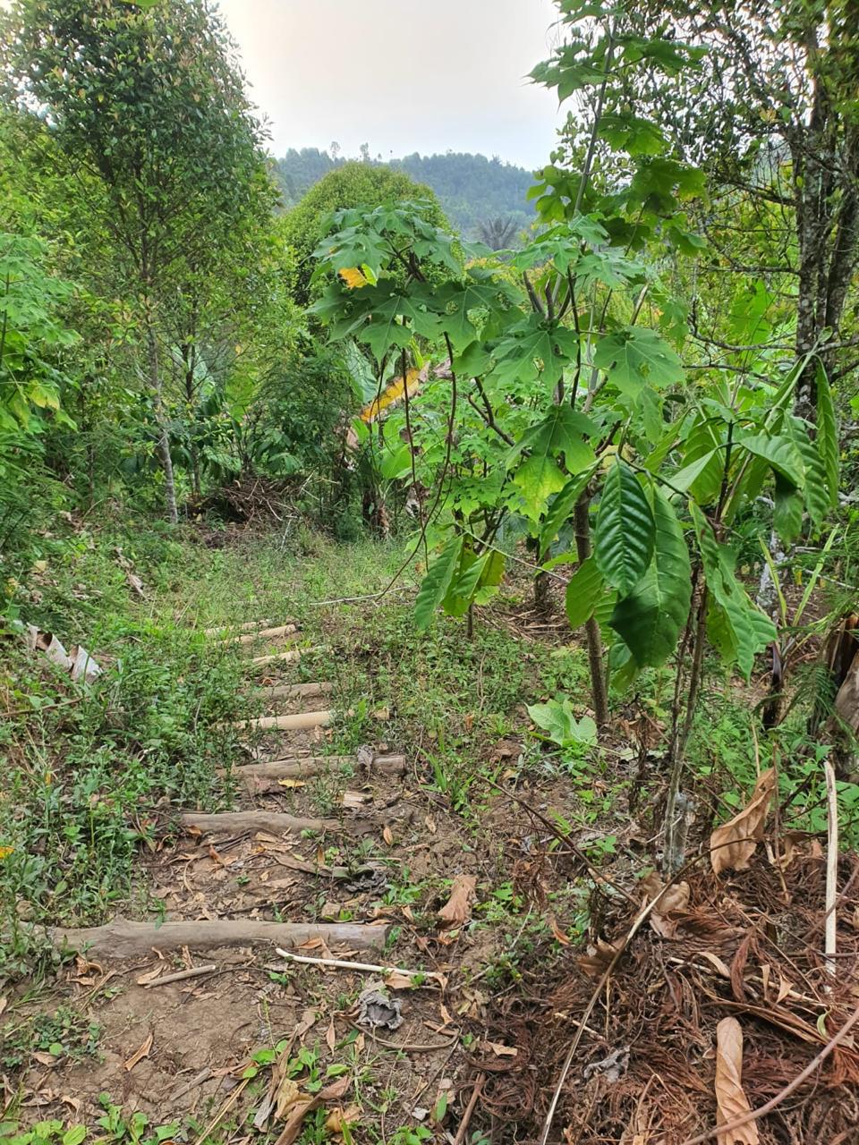 Buleleng,Bali,Indonesia,Land,MLS ID 2247
