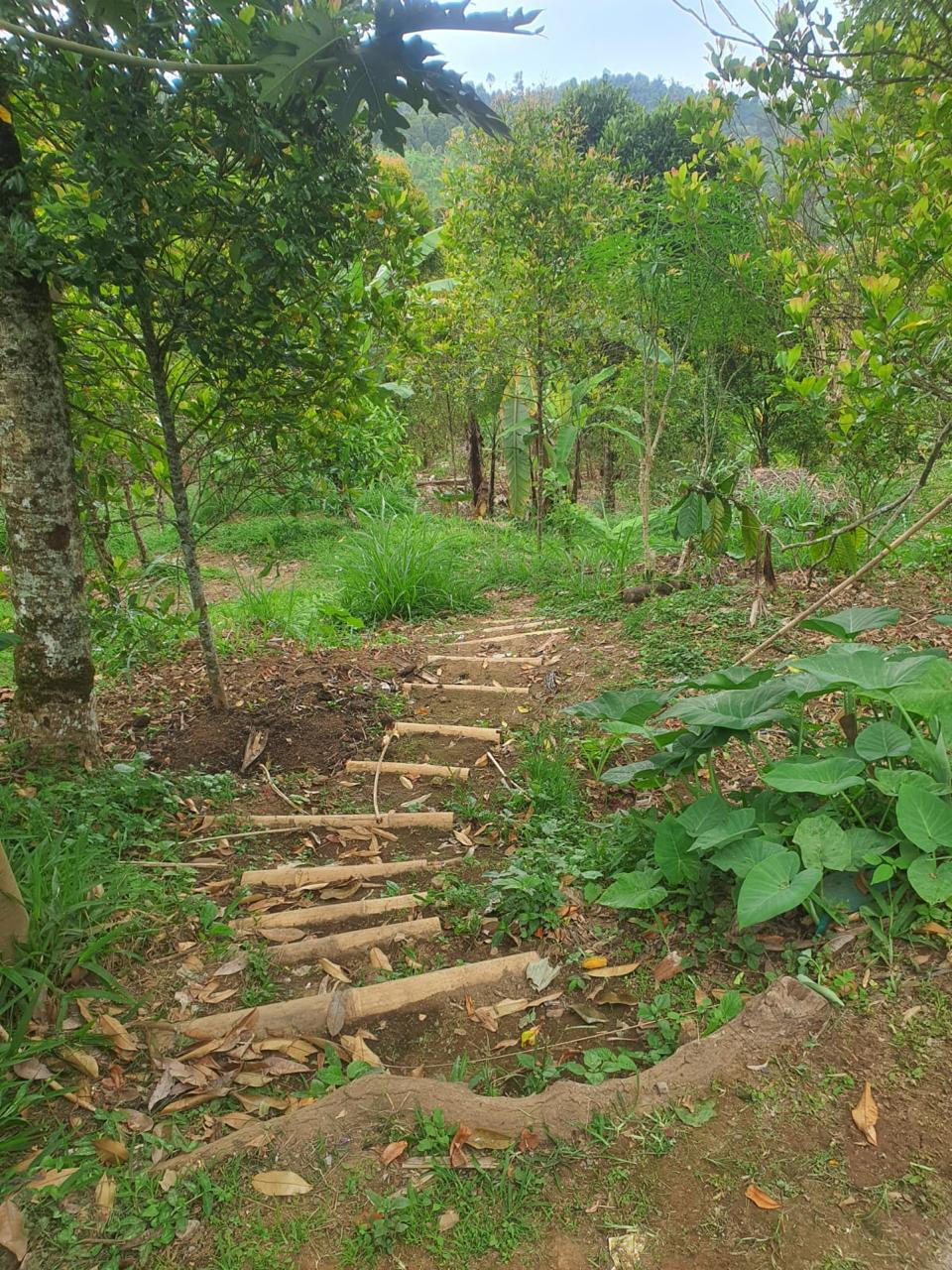 Buleleng,Bali,Indonesia,Land,MLS ID 2247