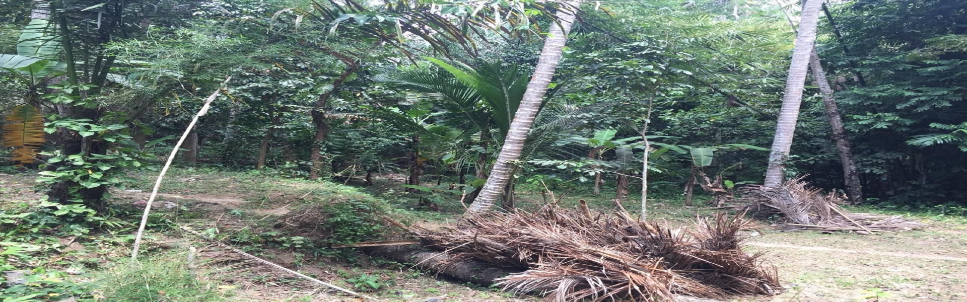 Ubud,Bali,Indonesia,Land,MLS ID 2248