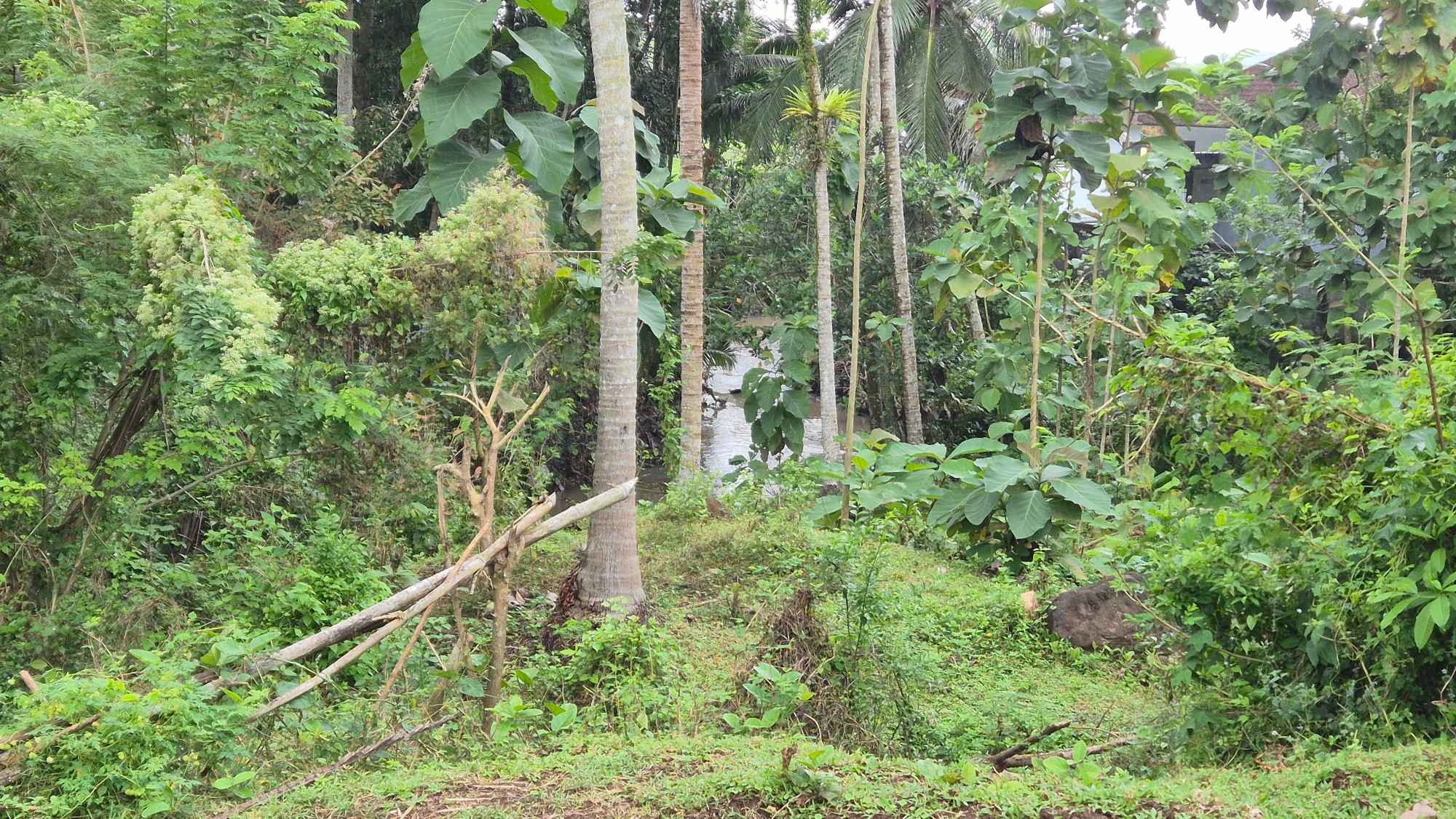 Tabanan,Bali,Indonesia,Land,MLS ID 2250