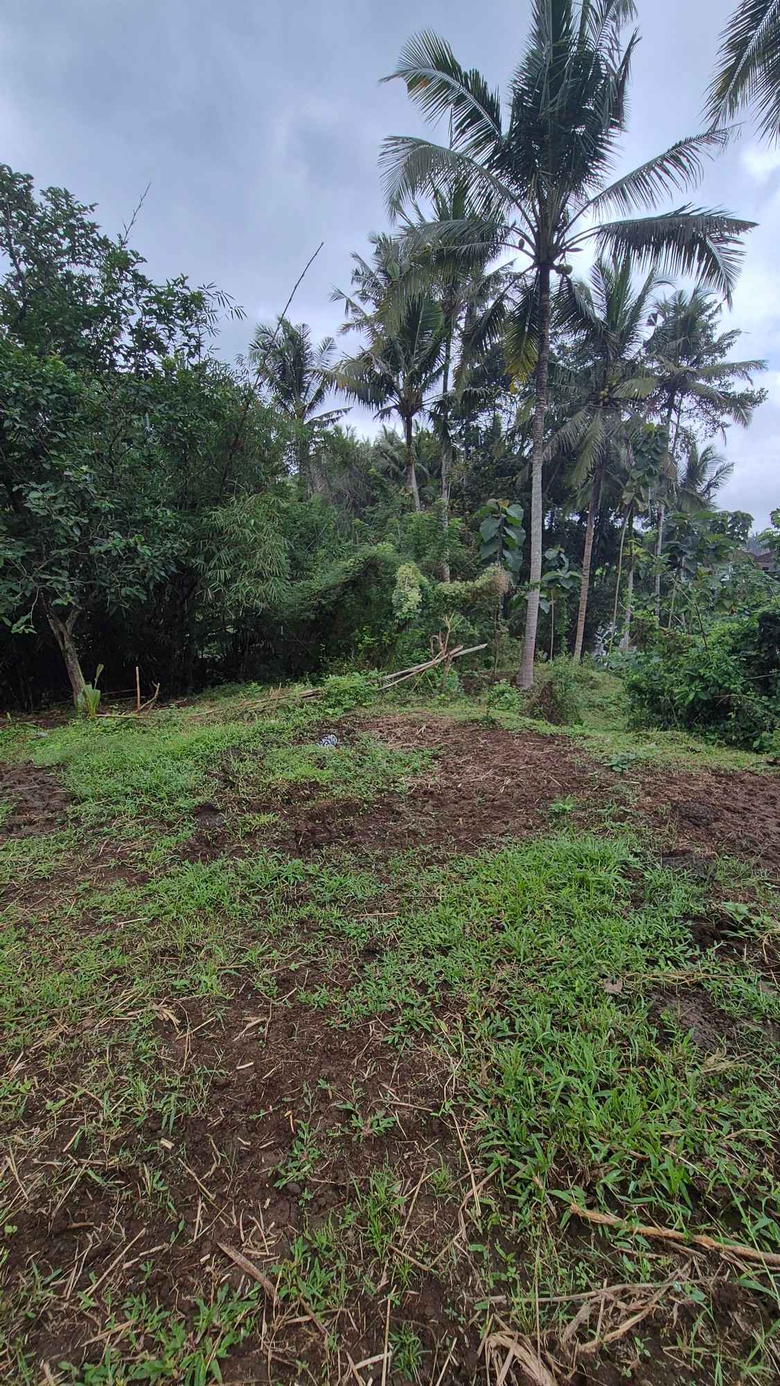 Tabanan,Bali,Indonesia,Land,MLS ID 2250