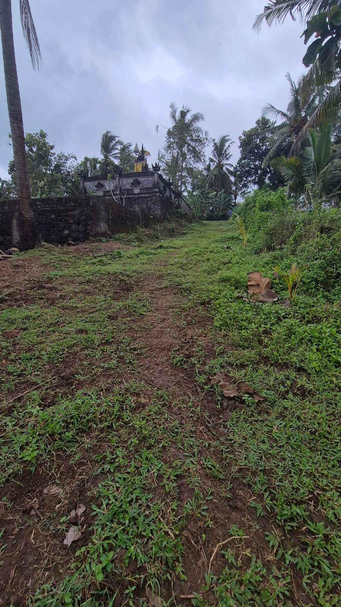Tabanan,Bali,Indonesia,Land,MLS ID 2250