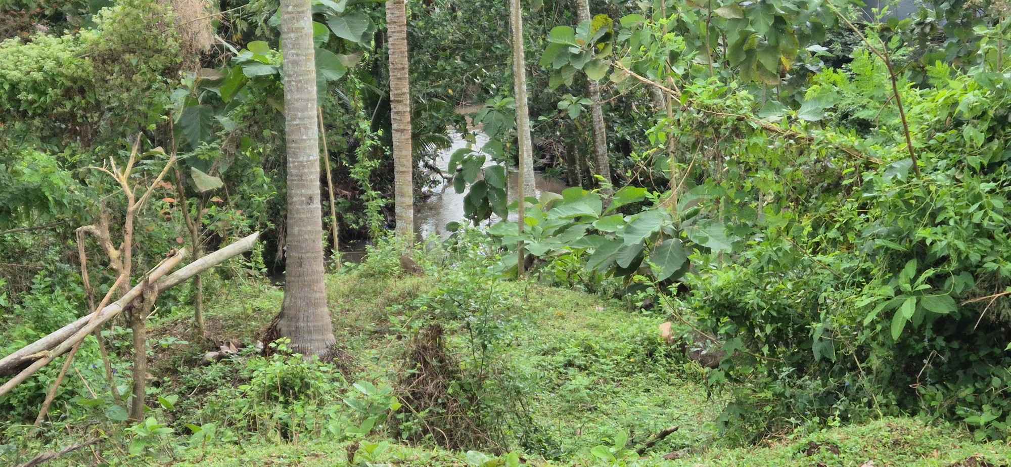 Tabanan,Bali,Indonesia,Land,MLS ID 2250