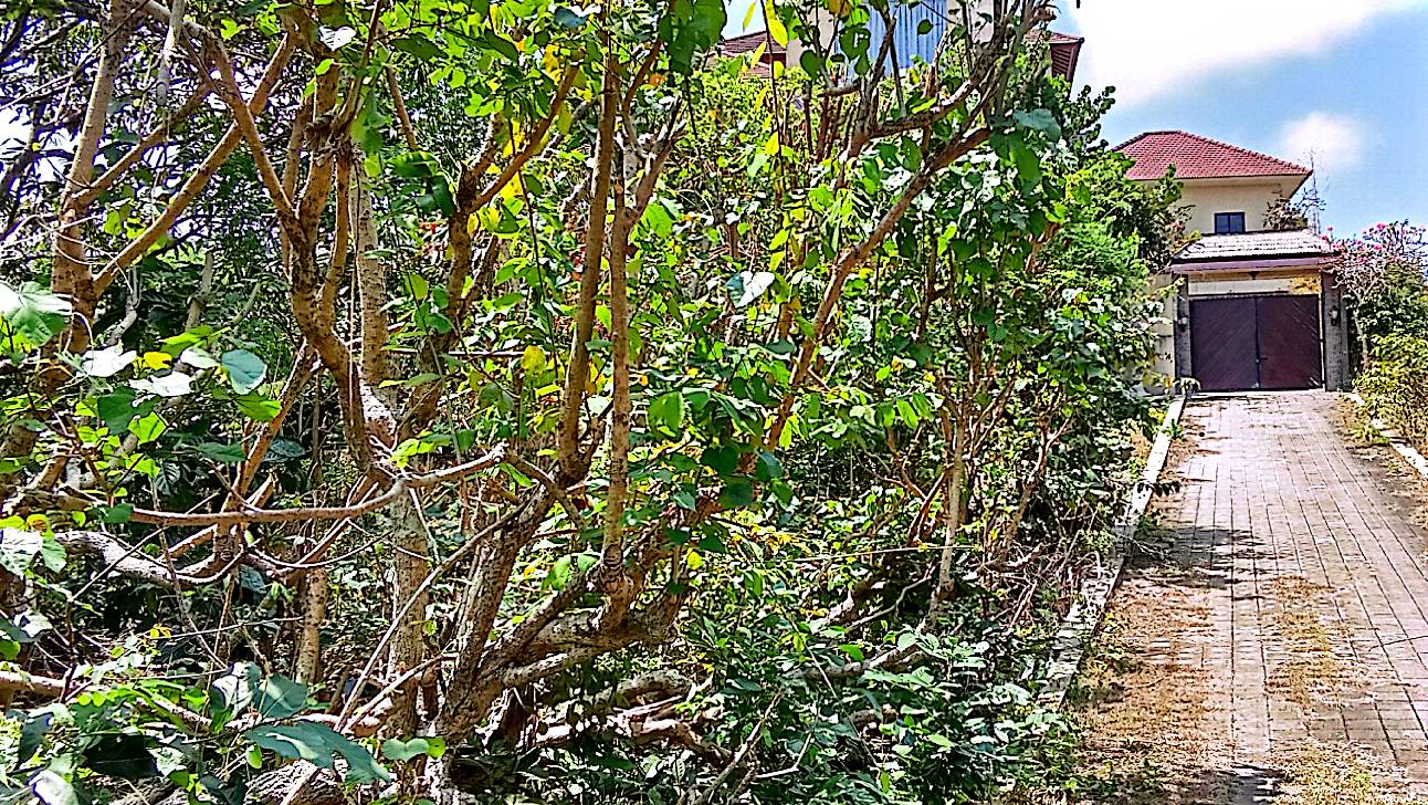 Ungasan,Bali,Indonesia,Land,MLS ID 2268