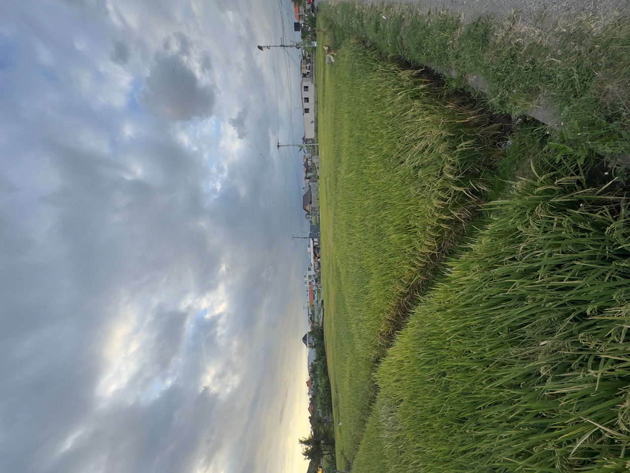 Cemagi,Bali,Indonesia,Land,MLS ID 2270