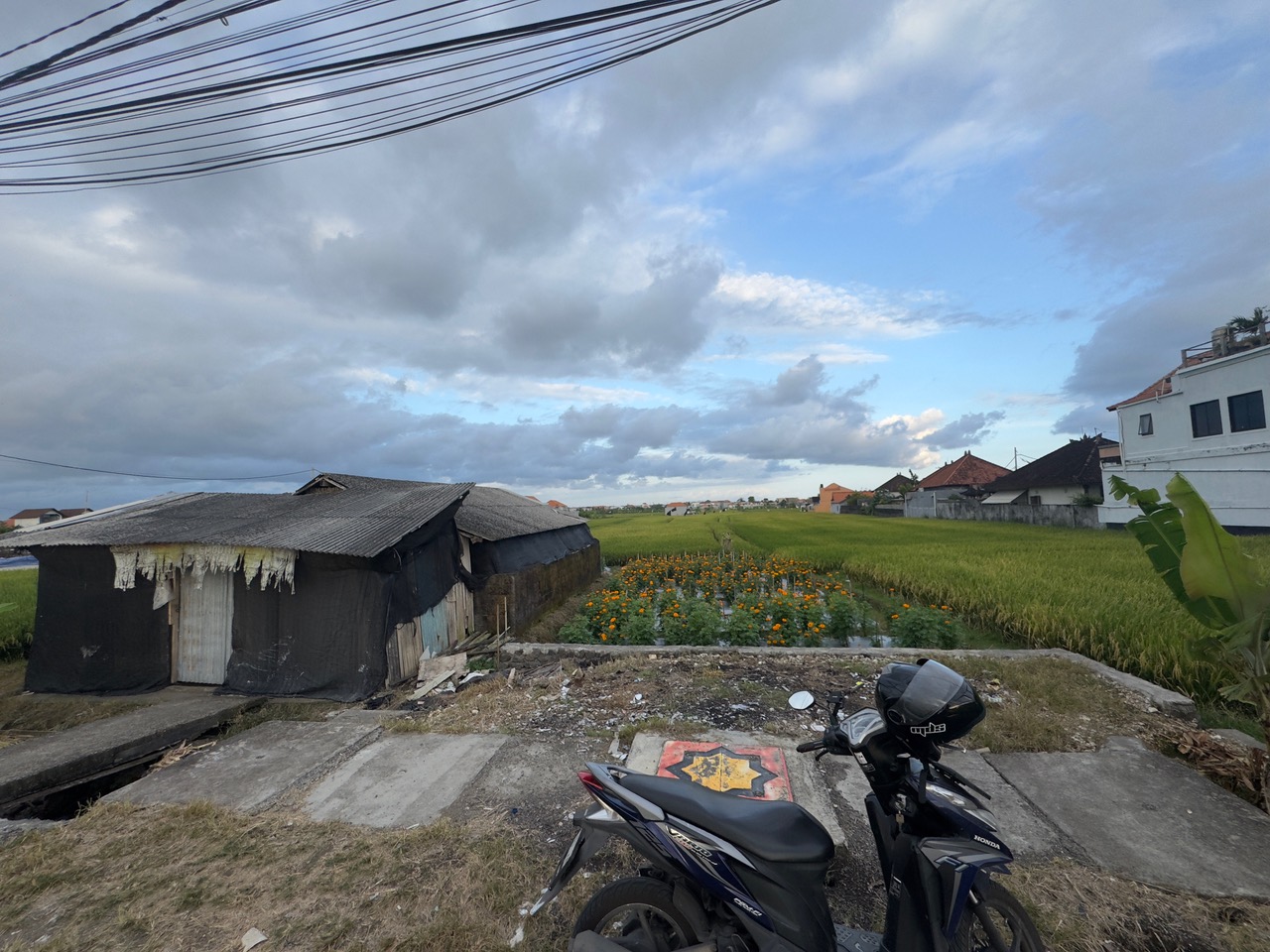 Cemagi,Bali,Indonesia,Land,MLS ID 2270