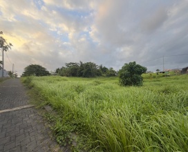 Tabanan,Bali,Indonesia,Land,MLS ID 2279